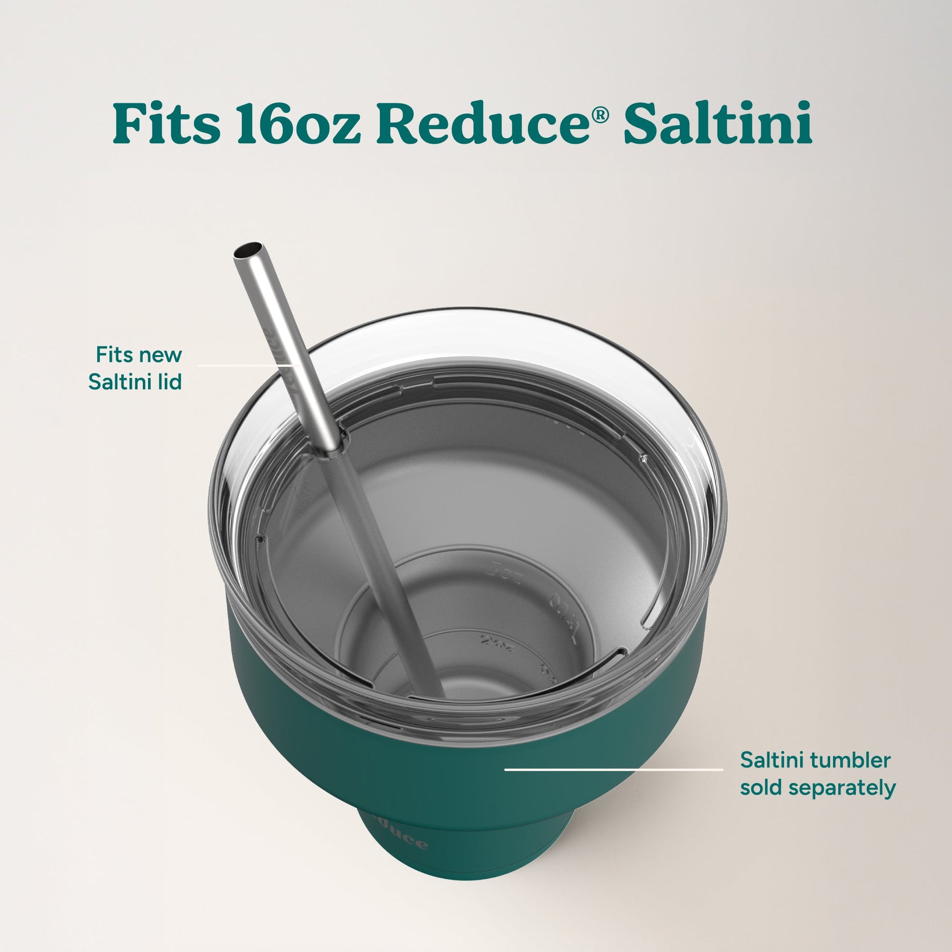 saltini-straw-set-h6 4PK_SaltiniStraws_SS-4.jpg