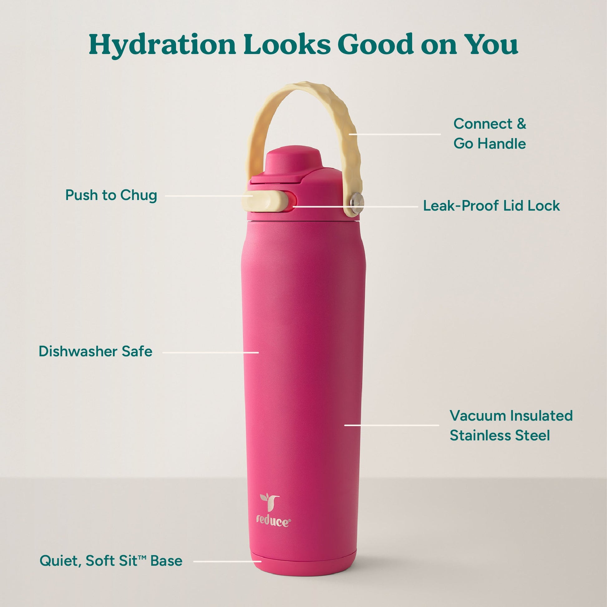 aura-26-oz-r6 Aura_26oz_DragonFruit_PDP_Infographic_2-03.jpg