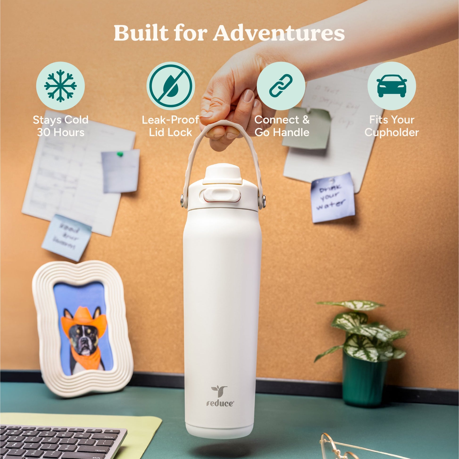 aura-26-oz-r6 Aura_26oz_Unbleached_PDP_Infographic_1.jpg