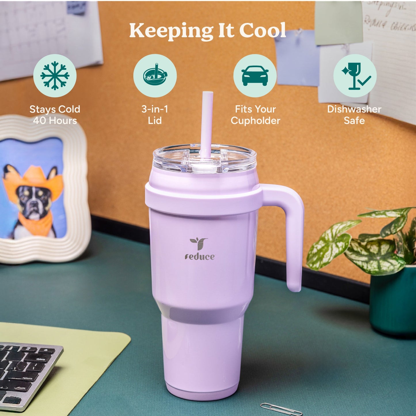 cold1-40-oz-r3 Cold1_40oz_PalmLeaf_Infographic_1.jpg