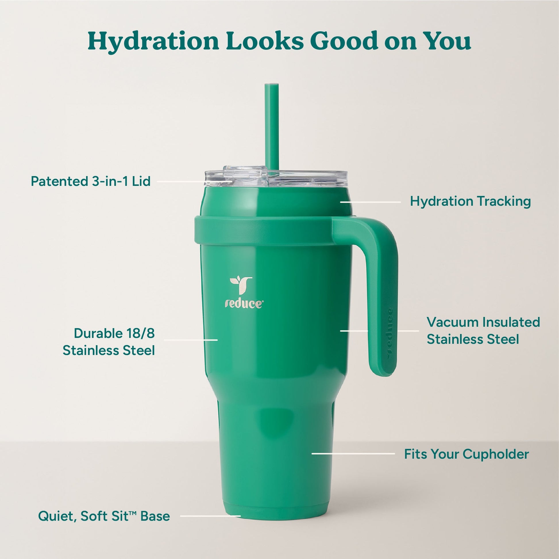 cold1-40-oz-r3 Cold1_40oz_PalmLeaf_Infographic_2.jpg