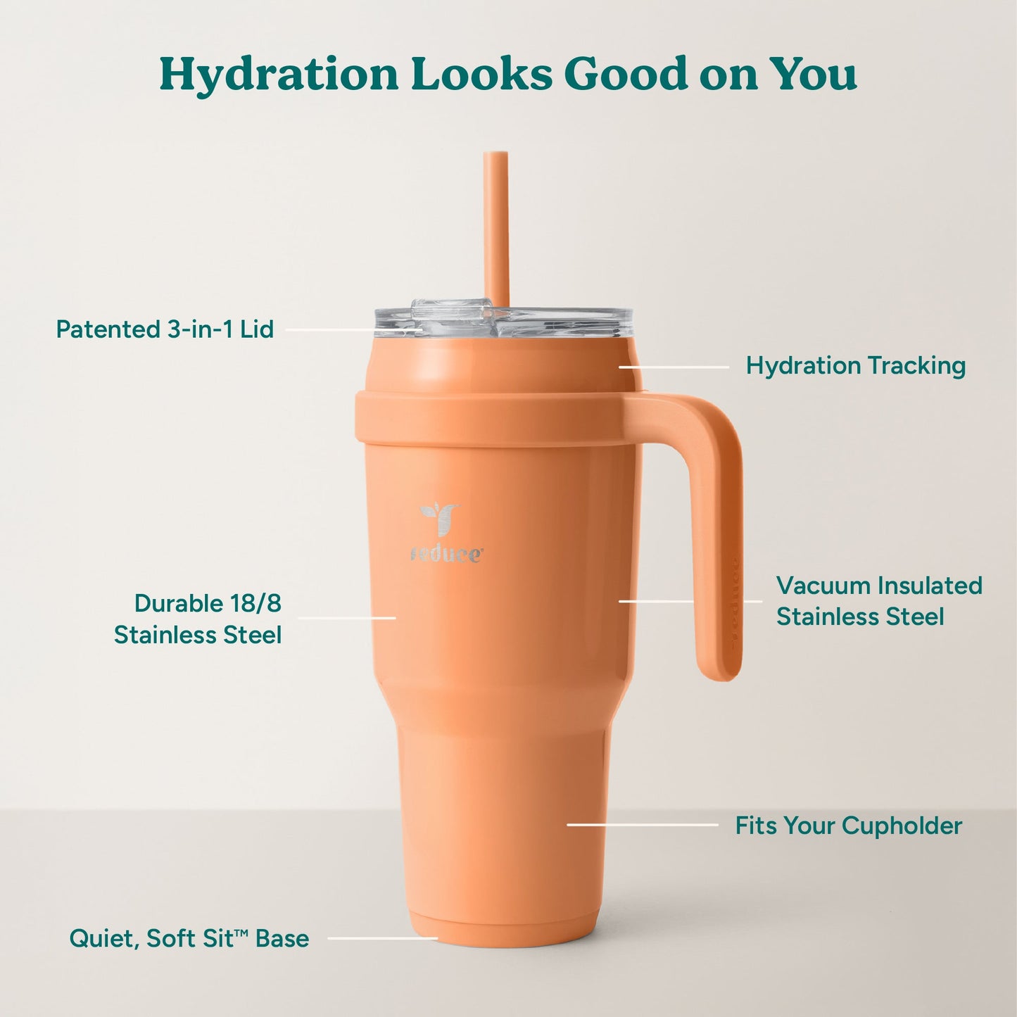 cold1-40-oz-r3 Cold1_40oz_Papaya_Infographic_2.jpg