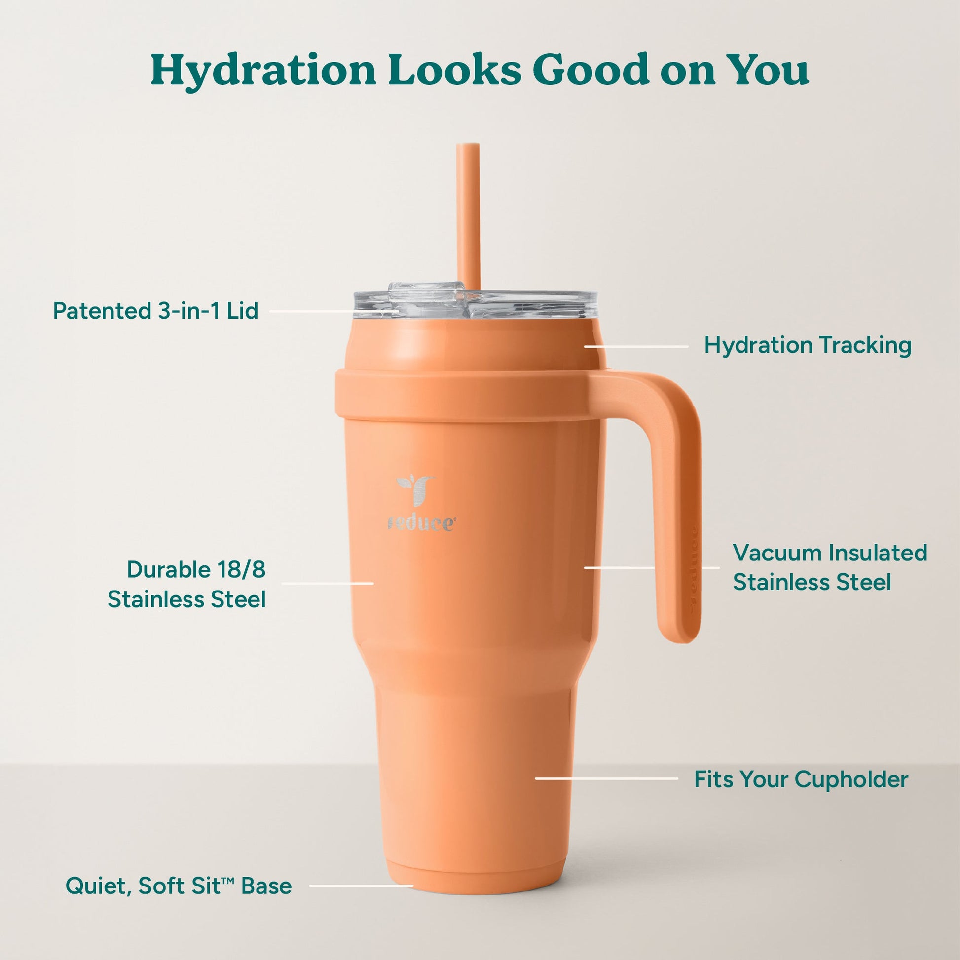 cold1-40-oz-r3 Cold1_40oz_Papaya_Infographic_2.jpg