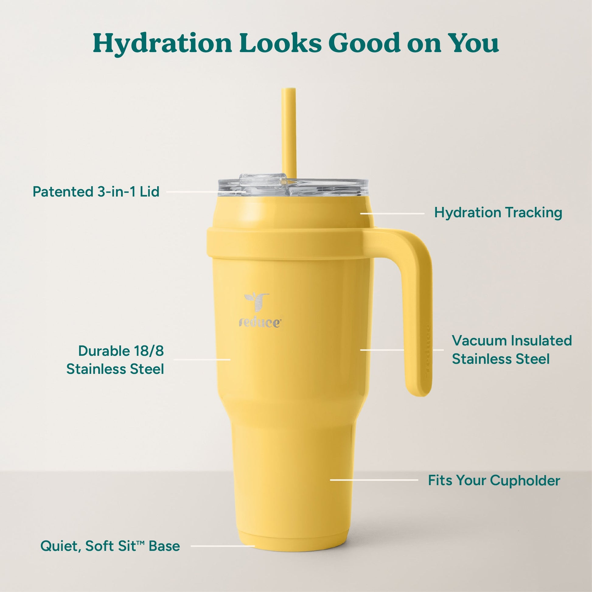 cold1-40-oz-r3 Cold1_40oz_Pineapple_Infographic_2.jpg